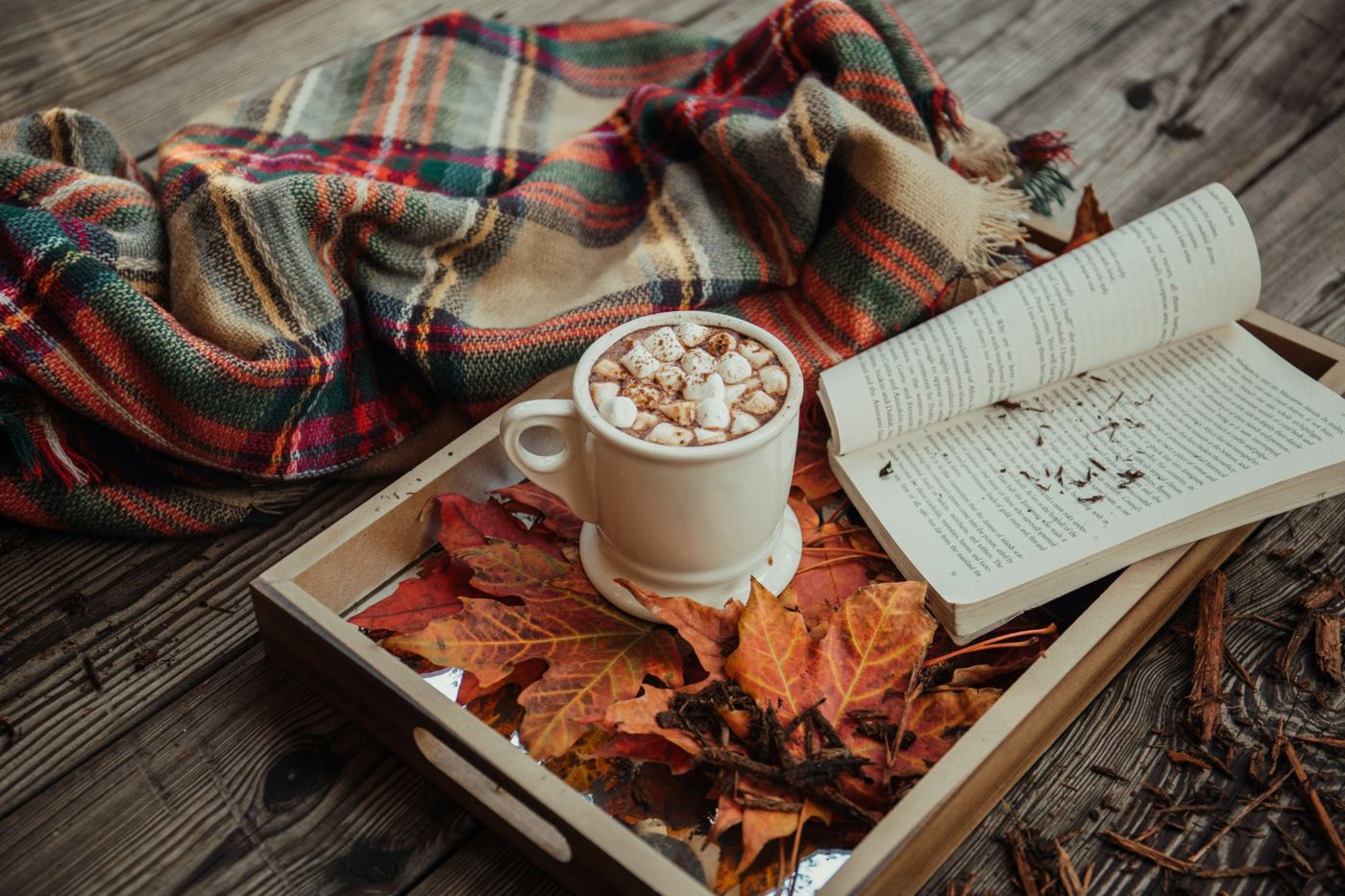 Cozy-season atmosphere